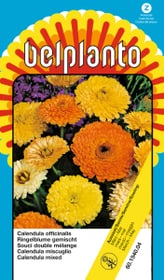 Calendula Mischung