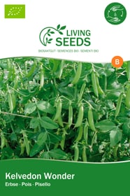 Pisello, Kelvedon Wonder Sementi di gourmet Living Seeds 650254800000 N. figura 1