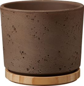 Soendgen Paros Deluxe Vaso Paros Deluxe Vaso Soendgen 657627800014 Colore Marrone Taglio ø: 14.0 cm x A: 13.0 cm N. figura 1
