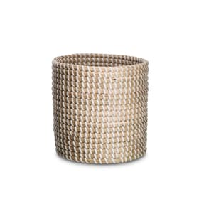 HALMA Cestino HALMA Cestino 374070800000 Dimensioni L: 16.0 cm x P: 16.0 cm x A: 15.0 cm Colore Naturale N. figura 1