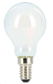 E14, 250lm, 25W LED Lampe Hama 785300175095 Bild Nr. 1