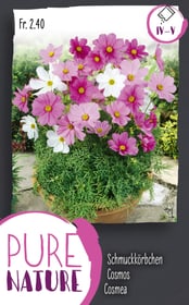 Do it + Garden Schmuckkörbchen, Mischung 1g Blumensamen Schmuckkörbchen, Mischung 1g Blumensamen Do it + Garden 287302900000 Bild Nr. 1