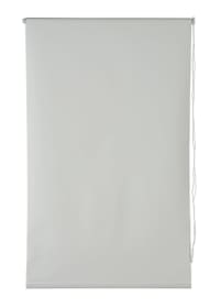 BLACKOUT Store enrouleur BLACKOUT Store enrouleur 430731712010 Couleur Blanc Dimensions L: 120.0 cm x H: 160.0 cm Photo no. 1