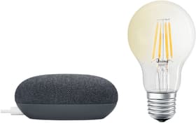 Hard-Bundle Google Home Mini + A60 E27 - Antracite Smart Speaker LEDVANCE 785300162685 Colore Grigio N. figura 1