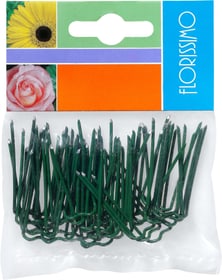Do it + Garden Accessoires de fleuristerie Agrafes Accessoires de fleuristerie Agrafes Do it + Garden 657005800000 Photo no. 1