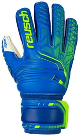 Reusch Attrakt SG Finger Support Jr. Kinder-Fussball-Torwarthandschuhe Attrakt SG Finger Support Jr. Kinder-Fussball-Torwarthandschuhe Reusch 461953004040 Grösse 4 Farbe blau Bild-Nr. 1