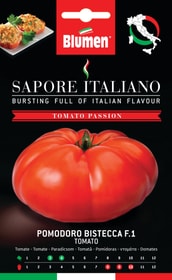 Blumen Tomate Bistecca F1 Gemüsesamen Tomate Bistecca F1 Gemüsesamen Blumen 650161800000 Bild Nr. 1