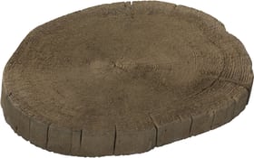 Disque de bois