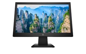 HP V19 Display 18,5" Monitor V19 Display 18,5" Monitor HP 785300154785 Bild Nr. 1