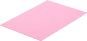Art & Décor (Preba) Fogli di feltro 20 x 30cm Fogli di feltro 20 x 30cm Art & Décor (Preba) 665702900000 Colore Rosa N. figura 1