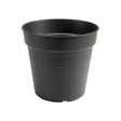 Garden Claw Green basic growpot Untertopf kaufen bei Do it + Garden