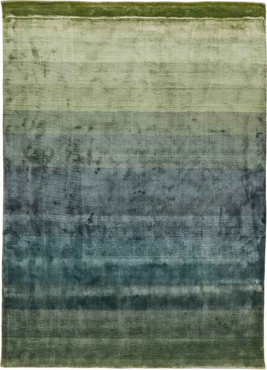 OSKAR Tapis OSKAR Tapis 411985116060 Couleur vert Dimensions L: 160.0 cm x P: 230.0 cm Photo no. 1