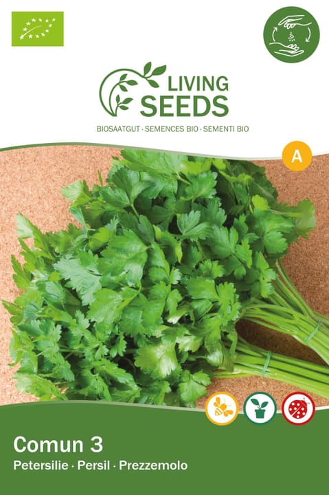 Image of Living Seeds Petersilie, einfache Schnitt 3 Kräutersamen