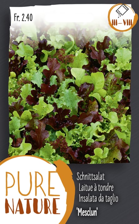Image of Schnittsalat 'Mesclun' Salatmischung 5g Gemüsesamen bei Do it + Garden von Migros