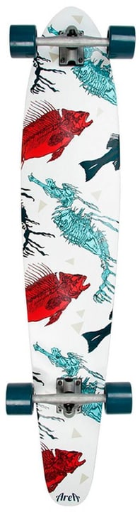 Image of Area Fish and Horse Longboard