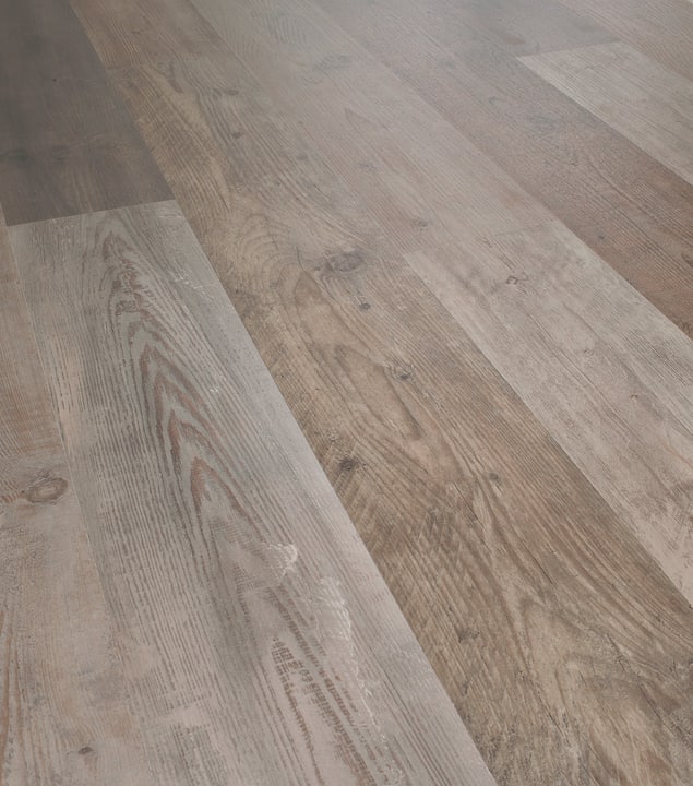 Swisskrono Sol stratifié Swiss-Noblesse 8 mm Wood Multicolor Sol stratifié Swiss-Noblesse 8 mm Wood Multicolor Swisskrono 641082300000 Photo no. 1