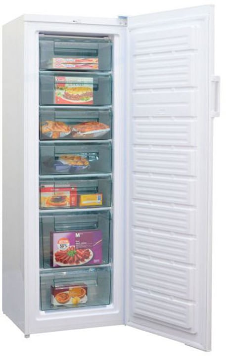 Kibernetik TK245L Congelatore TK245L Congelatore Kibernetik 785300135294 N. figura 1