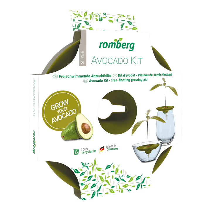 Image of Romberg Avocado Kit Anzucht