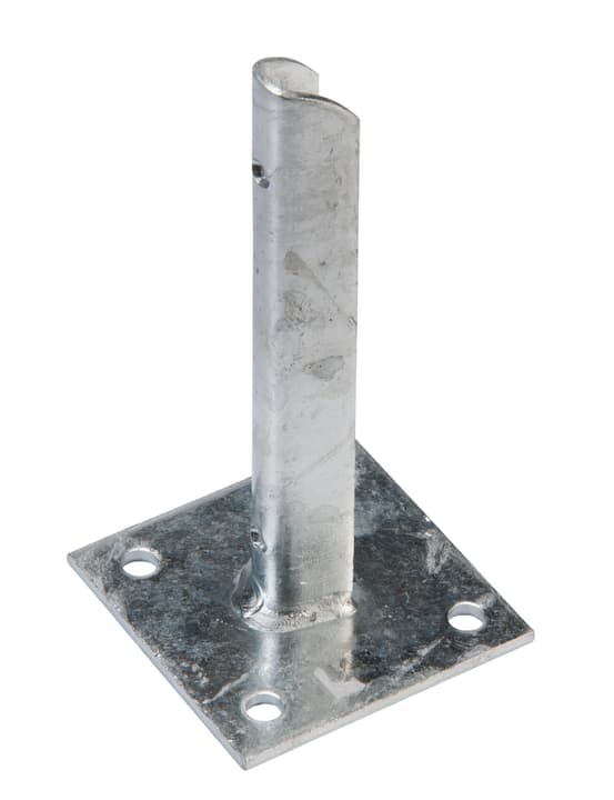 Image of Larus Montagefuss zu Zaunpfähle Pfostenträger