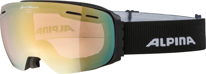 Image of Alpina Granby QVM Skibrille / Snowboardbrille kohle