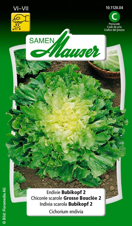 Image of Samen Mauser Endivie Bubikopf 2 Gemüsesamen bei Do it + Garden von Migros