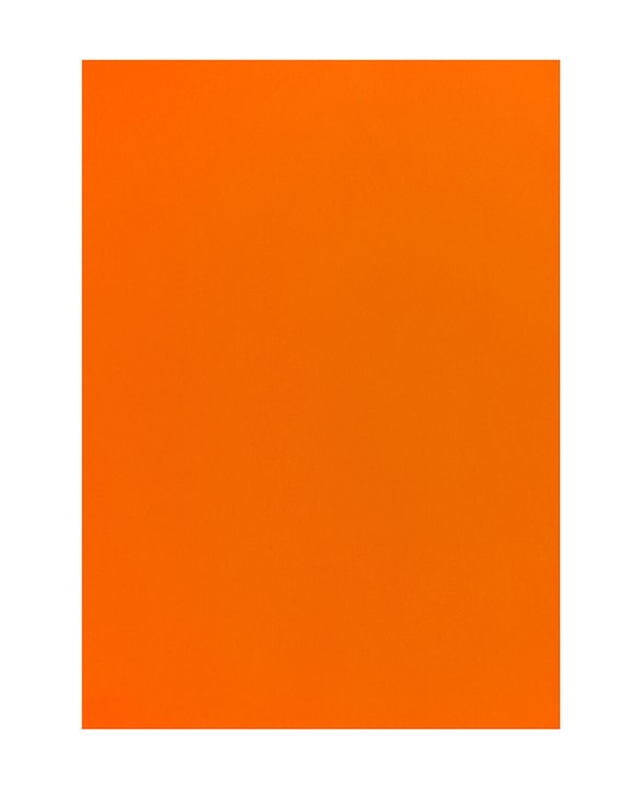 Image of Tonpapier 50 x 70 Orange bei Do it + Garden von Migros