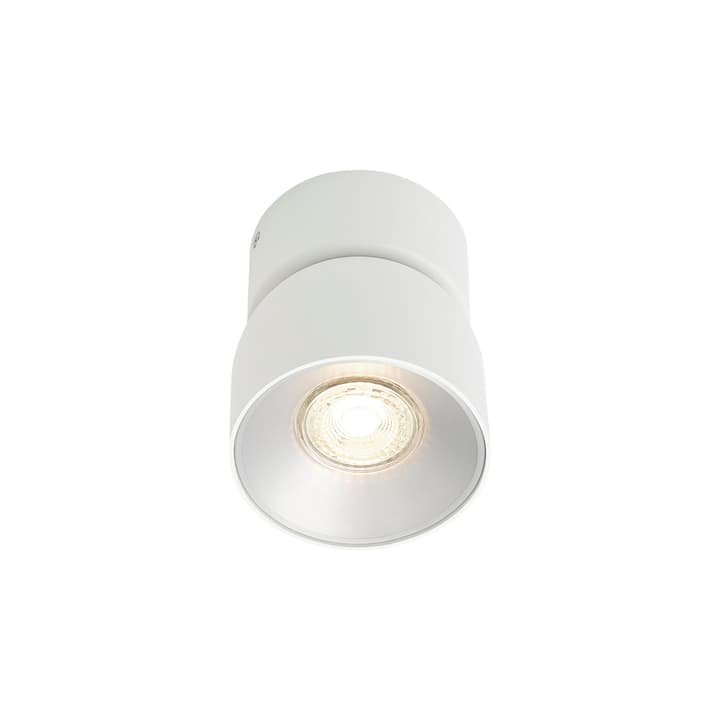 Spot PITCHER