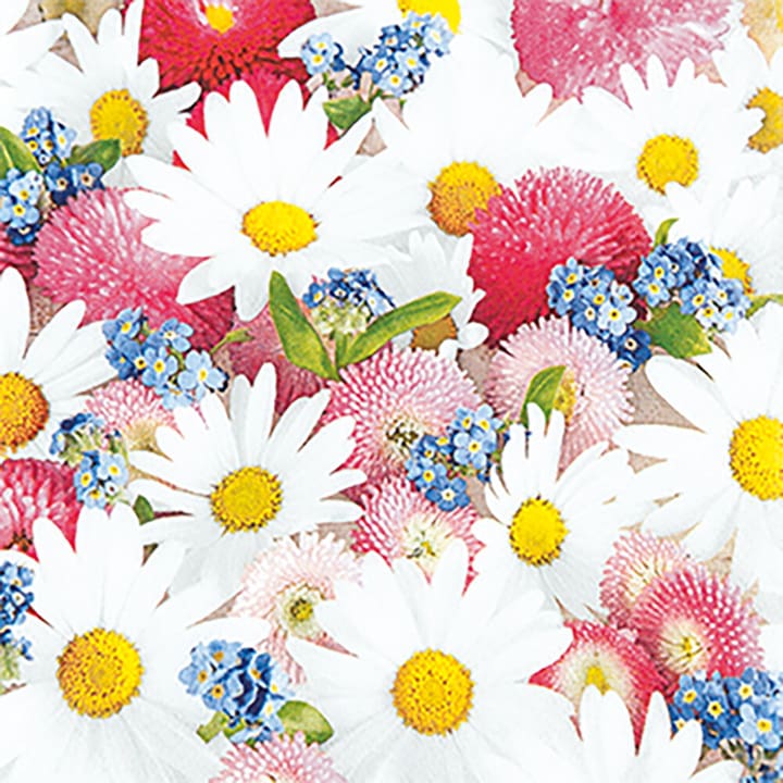 Image of Feldner + Partner Servietten 33cm Carpet of roses bei Do it + Garden von Migros
