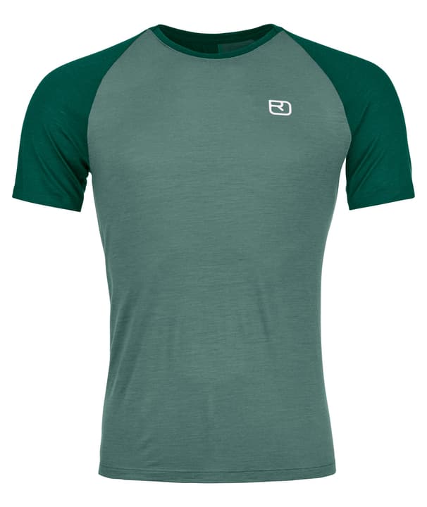 Image of Ortovox 120 Tec Fast Mountain TS Trekkingshirt grau