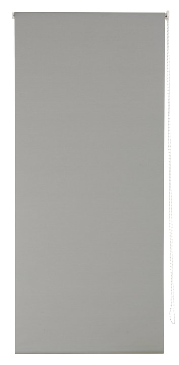 POLAR Tenda a rullo POLAR Tenda a rullo 430746114280 Colore Grigio Dimensioni L: 142.0 cm x A: 185.0 cm N. figura 1