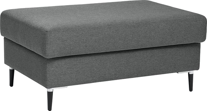 DIENER Hocker DIENER Hocker 407426800000 Grösse B: 100.0 cm x T: 64.0 cm x H: 45.0 cm Farbe Anthrazit Bild Nr. 1