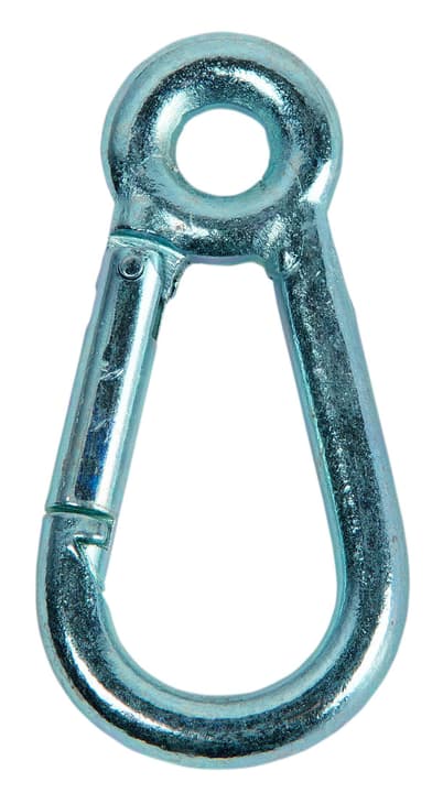 Image of Meister Karabinerhaken mit Ring rostfrei