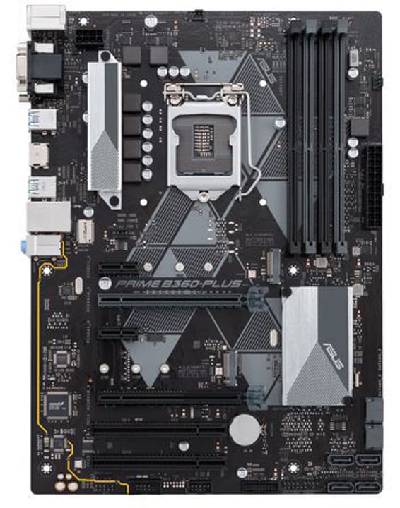 Asus PRIME B360-PLUS Mainboard PRIME B360-PLUS Mainboard Asus 785300143537 Photo no. 1