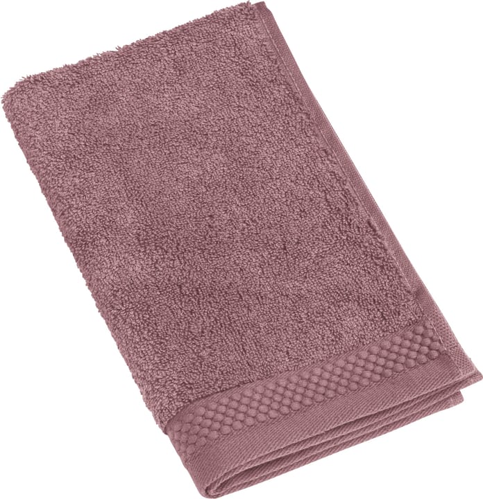 NEVA Serviette d'hote NEVA Serviette d'hote 450849720245 Couleur Violet Dimensions L: 30.0 cm x H: 50.0 cm Photo no. 1