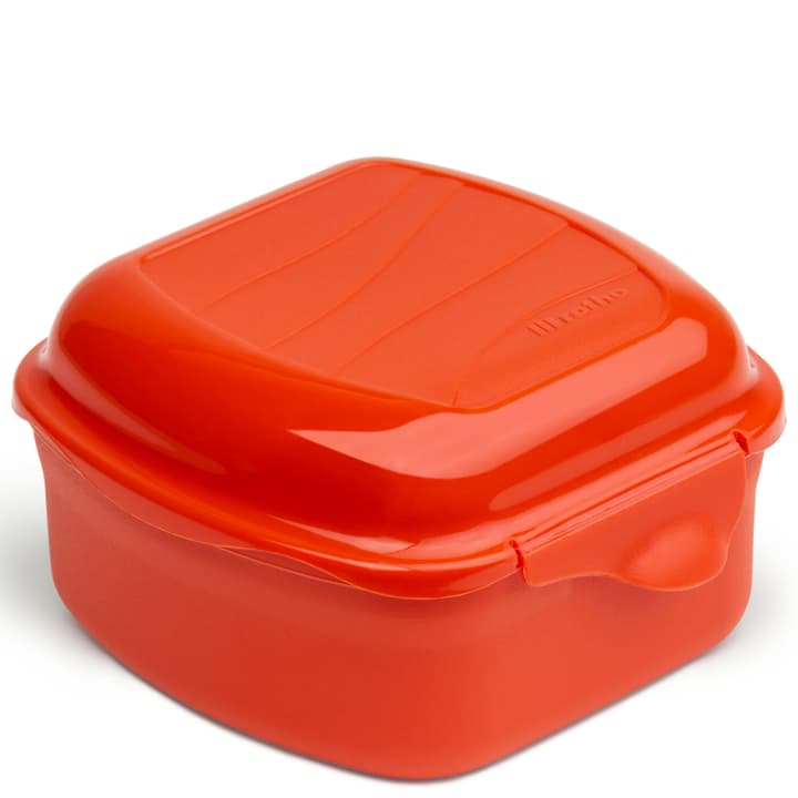 Image of Rotho MEMORY Mikrowellengeschirr Eierkocher bei Do it + Garden von Migros