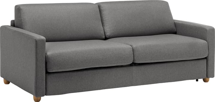 OPUS Canapé-lit OPUS Canapé-lit 402932600000 Couleur Anthracite Dimensions L: 178.0 cm x P: 204.0 cm x H: 82.0 cm Photo no. 1