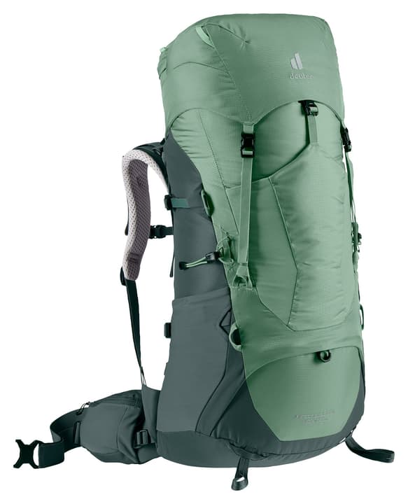 Image of Deuter Aircontact Lite 45 + 10 SL Trekkingrucksack hellgrün