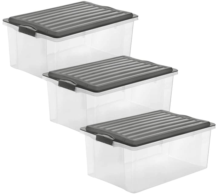Image of Rotho Compact A3, 3er-Set Aufbewahrungsbox bei Do it + Garden von Migros