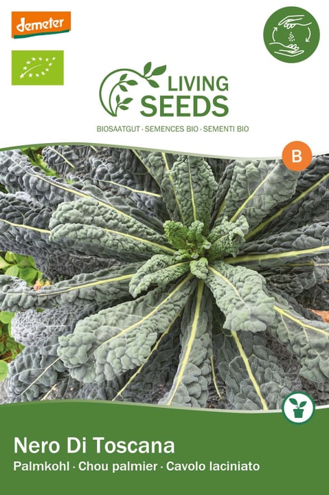 Image of Living Seeds Grünkohl, Nero di Toscana Gemüsesamen bei Do it + Garden von Migros