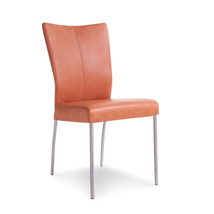 JAN Chaise en cuir JAN Chaise en cuir 360901000000 Photo no. 1