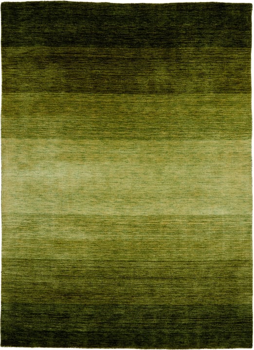 GABBEH Tappeto GABBEH Tappeto 411961117060 Colore verde Dimensioni L: 170.0 cm x P: 230.0 cm N. figura 1