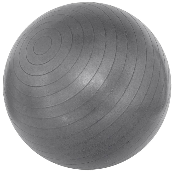 Image of TheraBand ABS Gymnastikball Gymnastikball silber