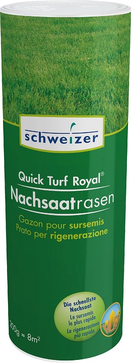 Image of Eric Schweizer Quick - Turf Royal Nachsaatrasen, 0,2 kg Rasensamen