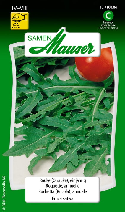 Image of Samen Mauser Rauke (Ölrauke)), einjährig Kräutersamen