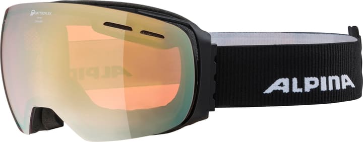 Image of Alpina Granby Q Skibrille / Snowboardbrille kohle