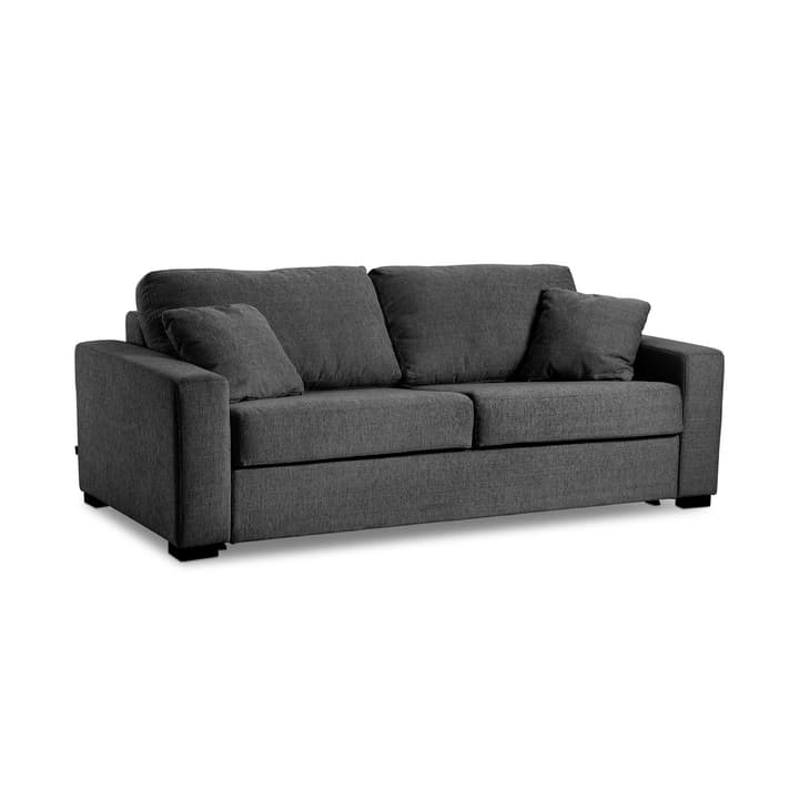 GEORGE Vera 4er Bettsofa GEORGE Vera 4er Bettsofa 360207600000 Grösse B: 160.0 cm x T: 195.0 cm Farbe Anthrazit Bild Nr. 1