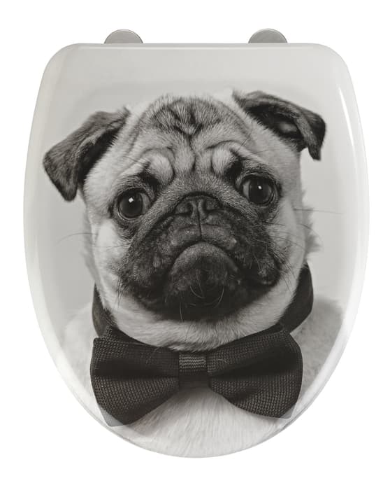 Image of WENKO Pugy WC-Sitz bei Do it + Garden von Migros