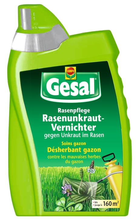 Image of Compo Gesal Rasenunkraut-Vernichter, 500 ml Rasenunkraut bei Do it + Garden von Migros