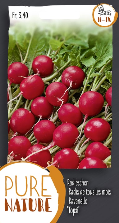 Image of Radieschen 'Topsi' 1 Saatband Gemüsesamen bei Do it + Garden von Migros