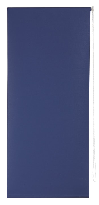 POLAR Store enrouleur POLAR Store enrouleur 430746010240 Couleur Bleu Dimensions L: 102.0 cm x H: 185.0 cm Photo no. 1